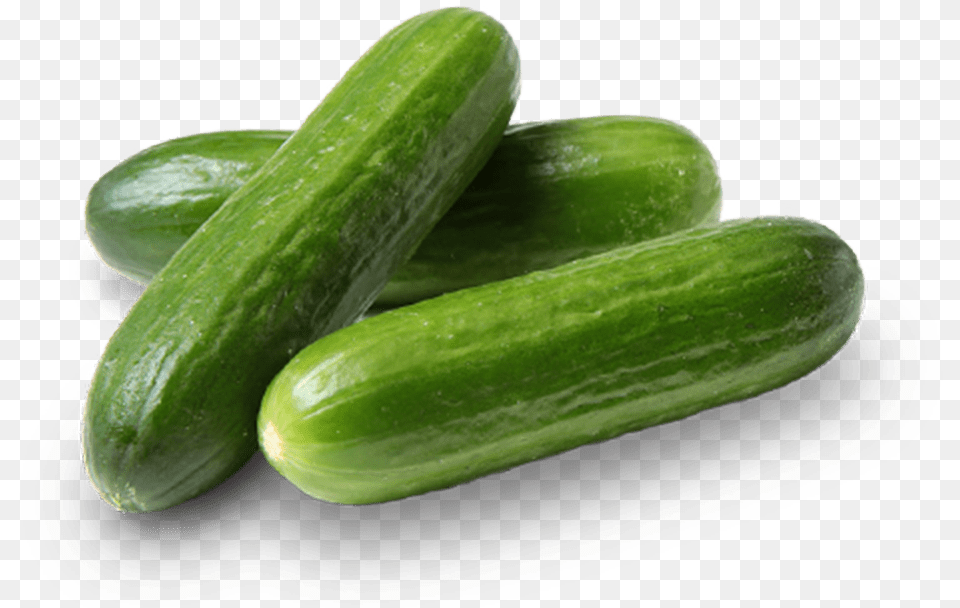 Three Bulk Pure Flavor Poco Bites Cucumbers Cucumber, Food, Plant, Produce, Vegetable Free Transparent Png