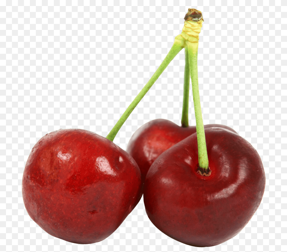 Three Cherries, Cherry, Food, Fruit, Plant Free Png