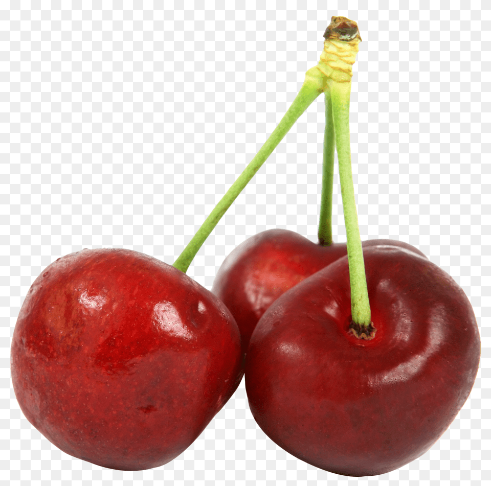 Three Cherries Cherry, Food, Fruit, Plant Png Image