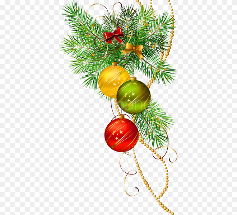 Three Christmas Balls With Pine Branch Christmas Decorations Vector, Plant, Tree, Accessories, Ornament Free Png