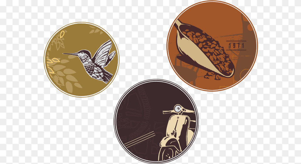 Three Closeups Of Art From Our Coffee Bags Latin America Starbucks Coffee, Animal, Bird, Bee, Insect Free Png