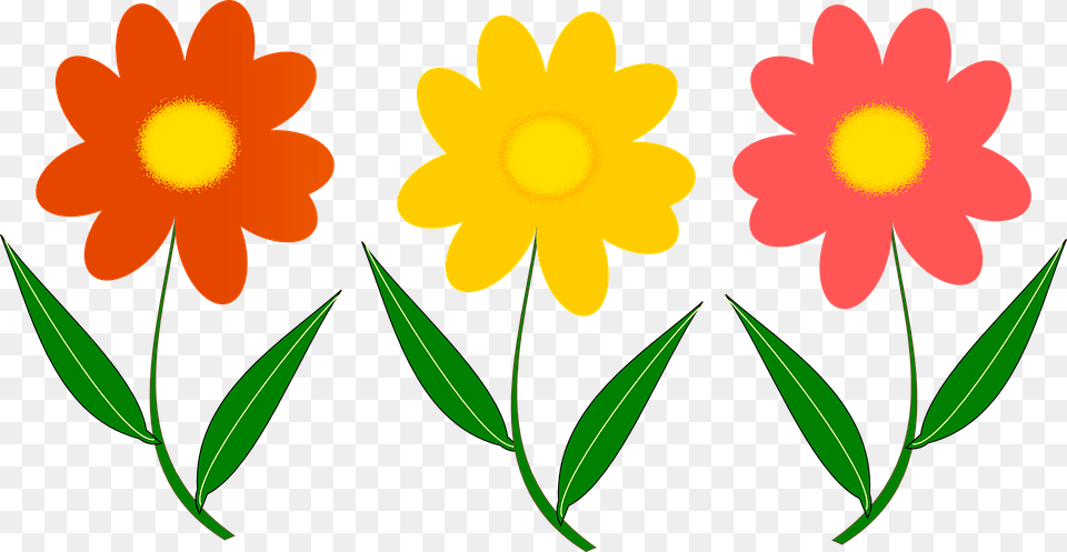 Three Colorful Flowers One Simple Gallery Canvas Artwork Flor Desenho Vetor, Daisy, Flower, Petal, Plant Free Png Download