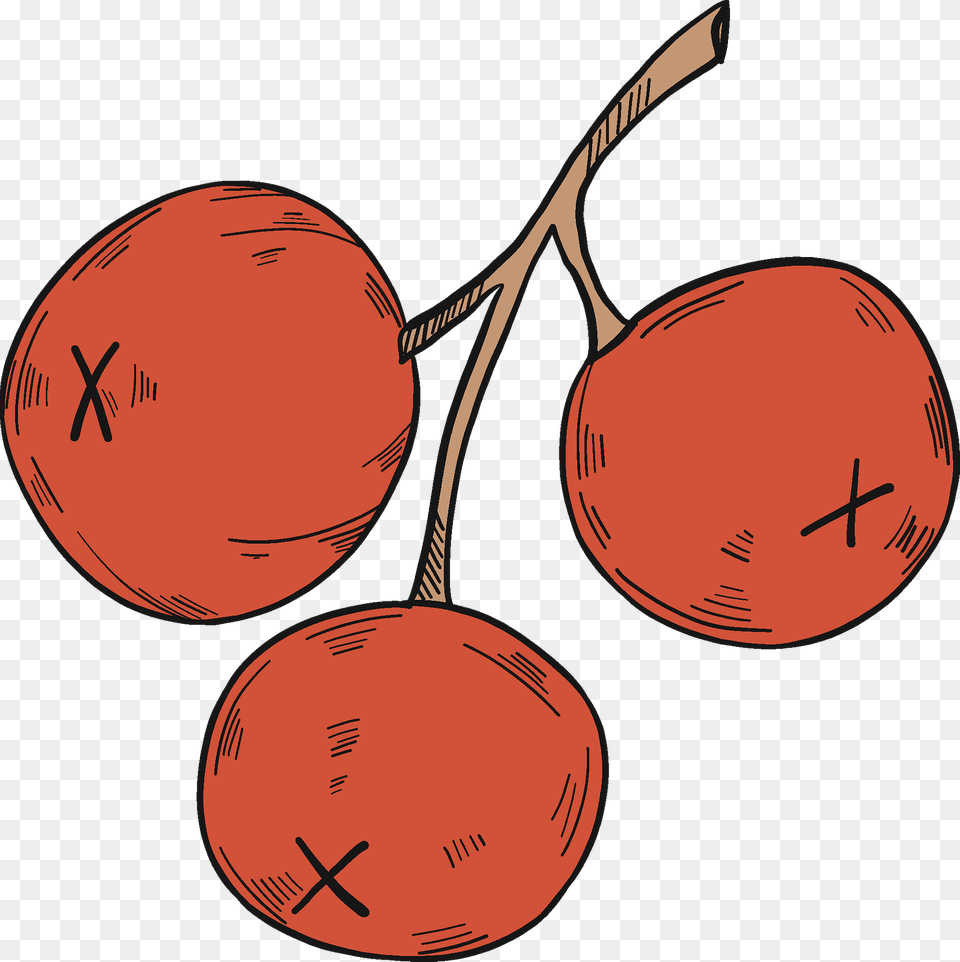 Three Cranberries Clipart, Food, Fruit, Plant, Produce Png Image