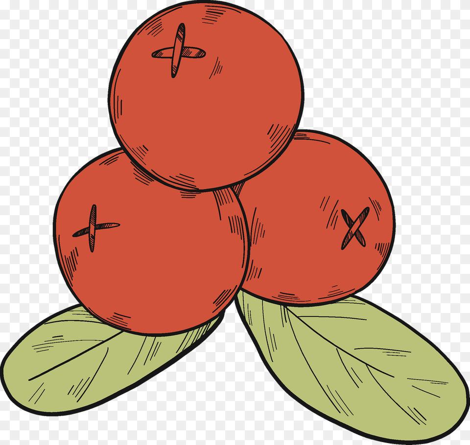 Three Cranberries Clipart, Food, Fruit, Plant, Produce Free Transparent Png
