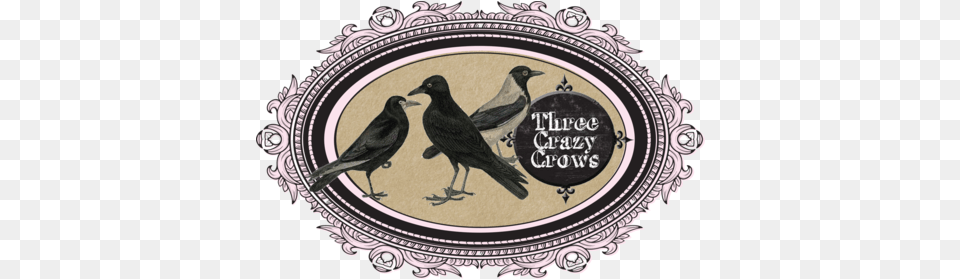Three Crazy Crows American Crow, Animal, Bird, Blackbird Free Transparent Png