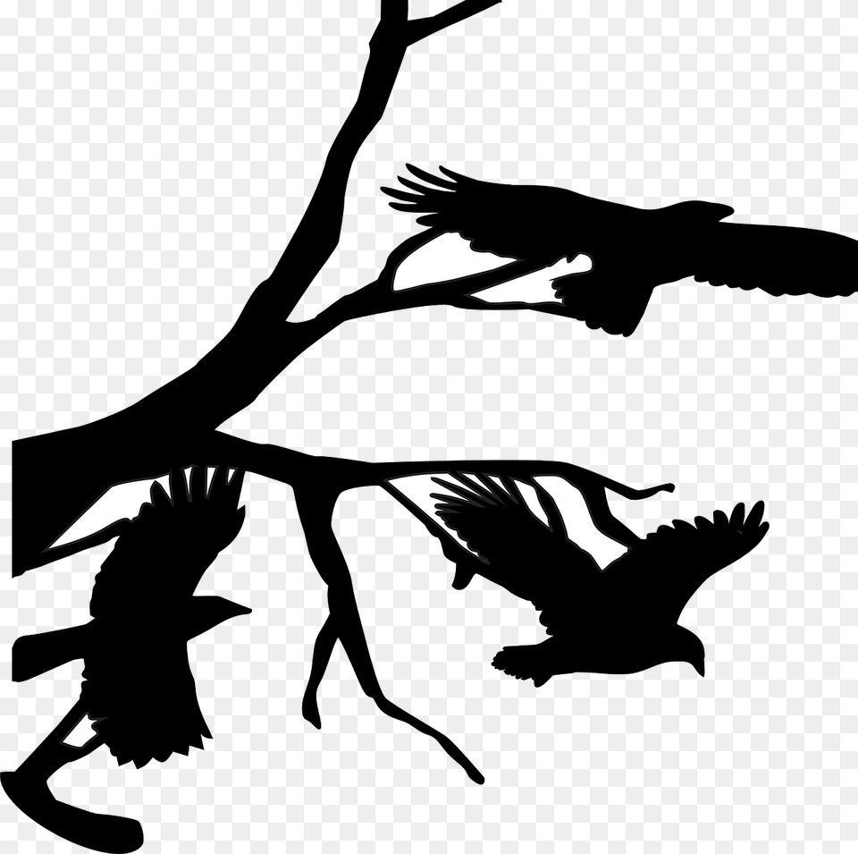 Three Crows Raven Flying Branch Branches Bird Crow On Branch Silhouette, Animal, Stencil Free Transparent Png