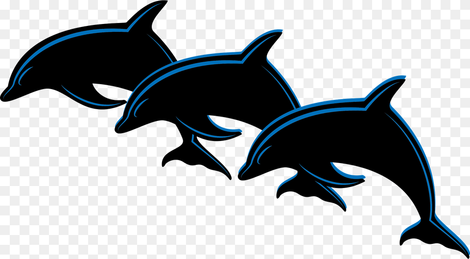 Three Dolphins Clipart, Animal, Dolphin, Mammal, Sea Life Free Transparent Png