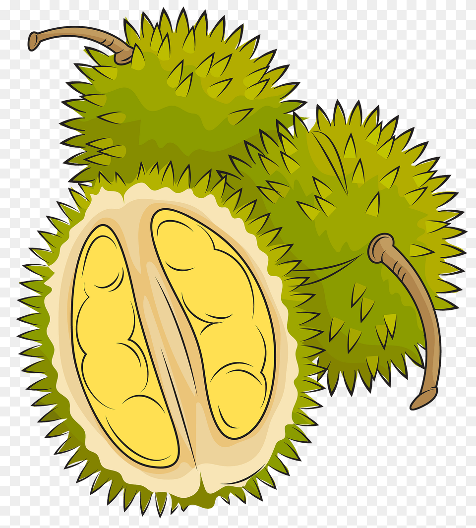 Three Durian Clipart, Food, Fruit, Plant, Produce Free Transparent Png