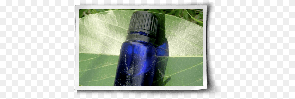 Three Essential Oils For Your Health Solution, Bottle, Leaf, Plant, Ink Bottle Png Image