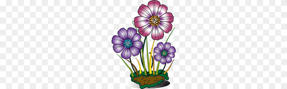 Three Flowers And Grass Growing On A Sod, Anemone, Plant, Graphics, Flower Png