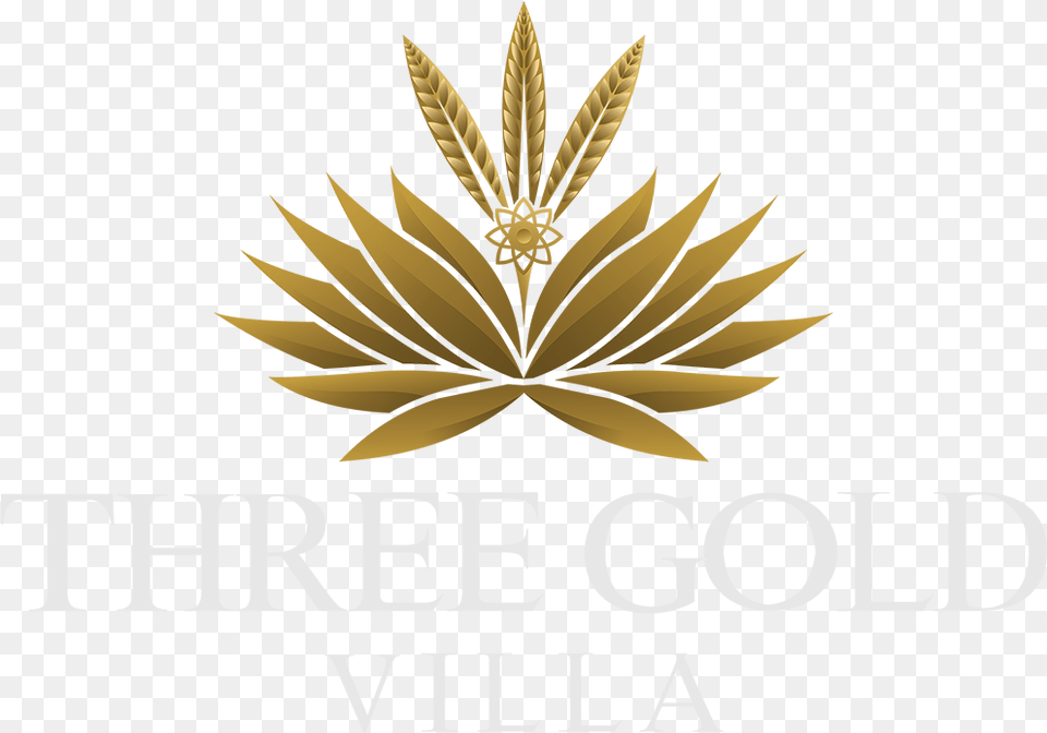 Three Gold Luxury Private Villa Illustration, Leaf, Plant, Logo Free Transparent Png