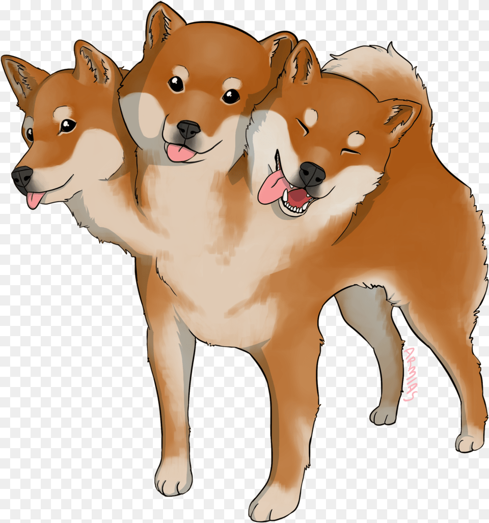 Three Good Bois For The Price Of One Hokkaido, Animal, Canine, Dog, Husky Free Png Download