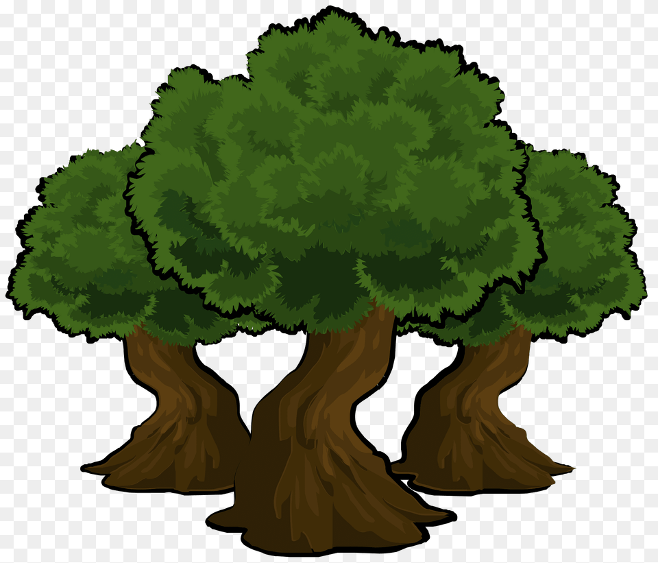 Three Green Trees Clipart, Plant, Vegetation, Tree, Conifer Free Png