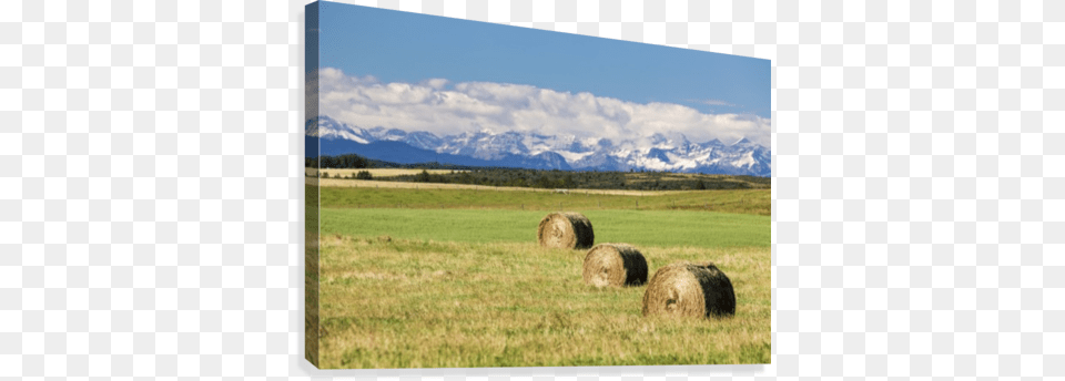 Three Hay Bales In A Field With Mountains In The Background Posterazzi Three Hay Bales In A Field, Straw, Outdoors, Pasture, Grassland Free Png