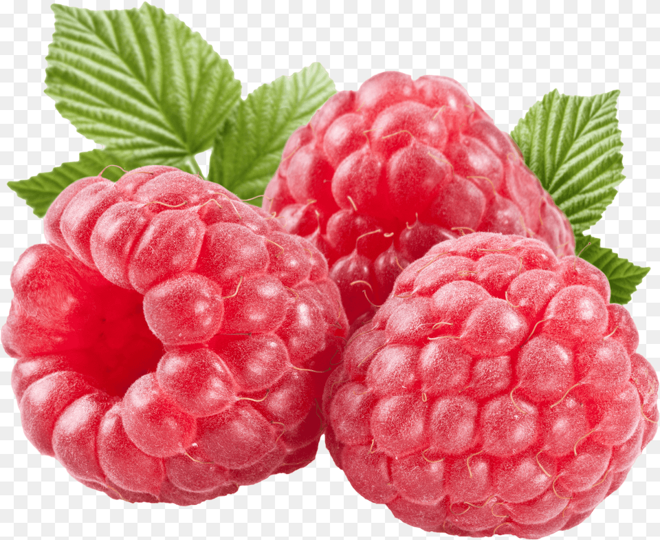 Three Large Raspberries, Berry, Food, Fruit, Plant Free Transparent Png