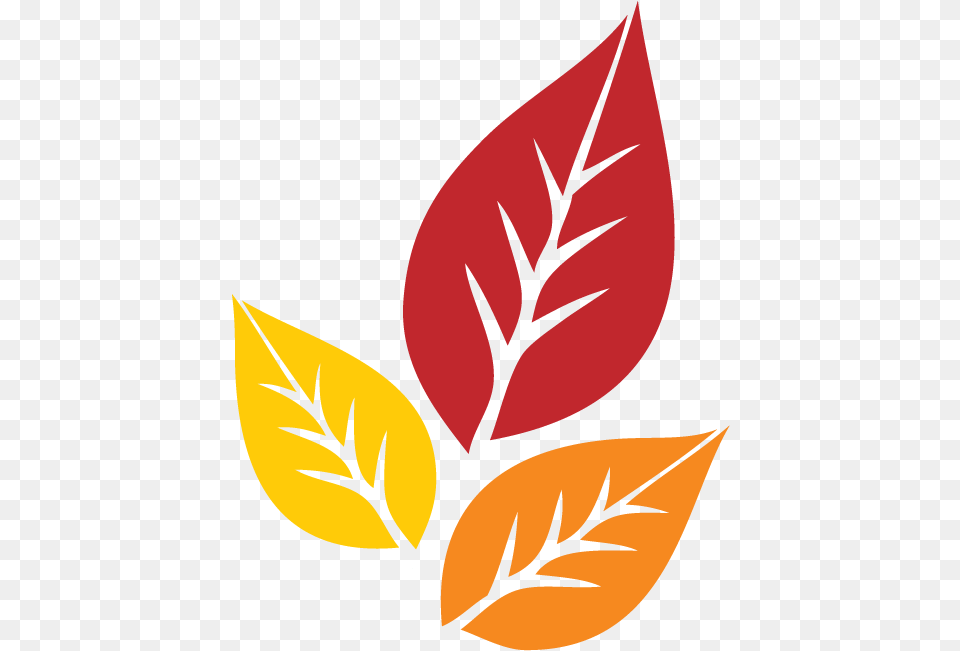 Three Leaf, Art, Graphics, Plant, Floral Design Free Transparent Png