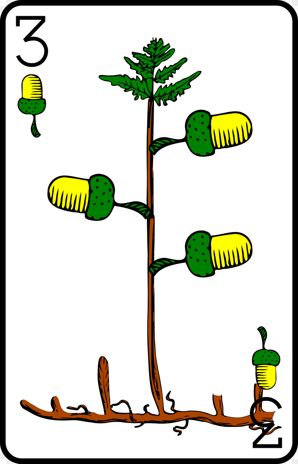 Three Of Acorns Clipart, Plant, Tree, Flower, Food Free Png Download