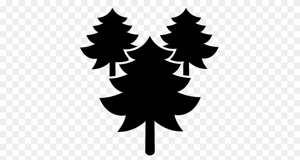 Three Pine Tree Image For Designing Projects, Silhouette, Stencil, Animal, Fish Png