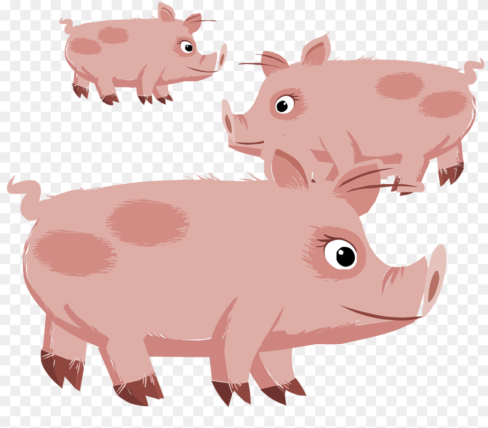 Three Pink Pigs Clipart, Animal, Boar, Hog, Mammal Png Image