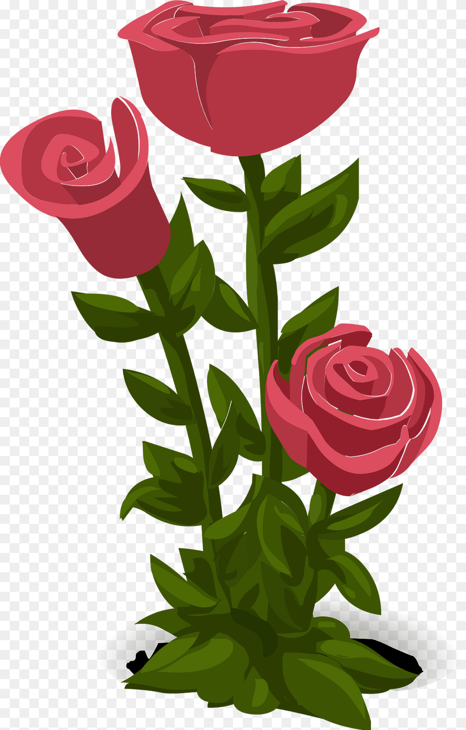 Three Pink Roses Clipart, Flower, Plant, Rose, Art Free Transparent Png