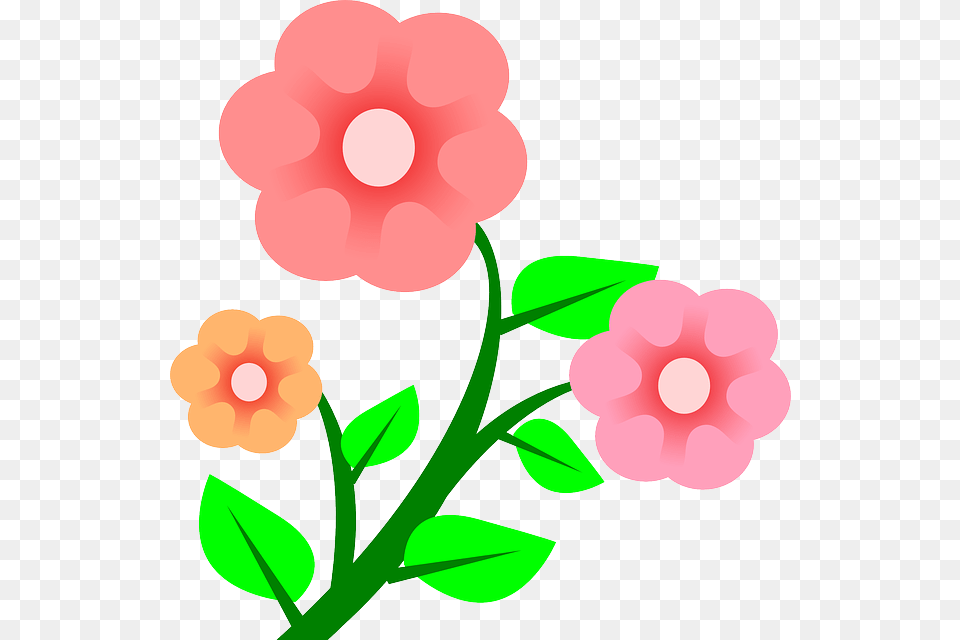 Three Plants Flower Flowers Cartoon Border Pink Rs Book, Anemone, Plant, Petal, Weapon Free Png Download
