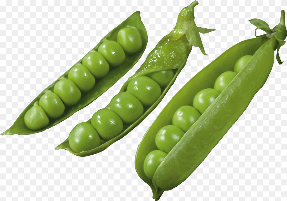 Three Pods With Peas Image Goroh Klipart, Food, Pea, Plant, Produce Free Transparent Png