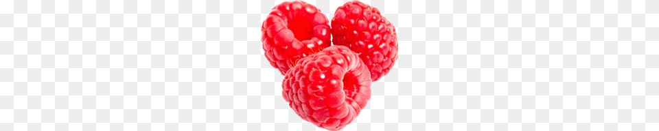 Three Raspberries, Berry, Produce, Plant, Fruit Png Image