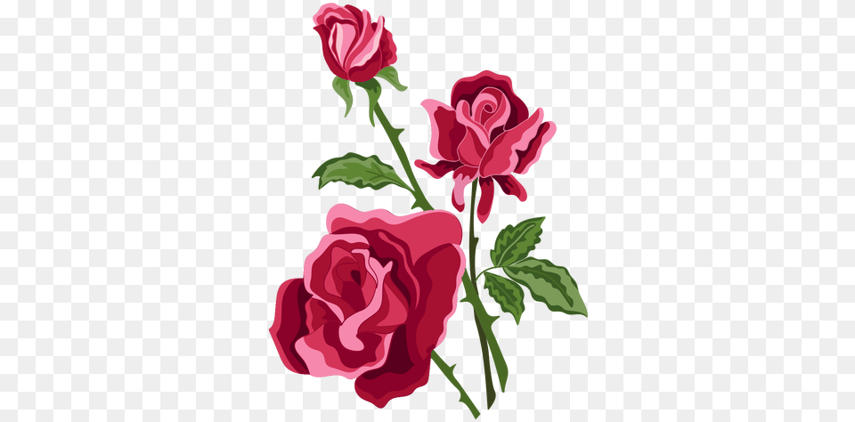 Three Roses Flowers Icon U0026 Svg Vector File Rosas, Flower, Plant, Rose, Carnation Png