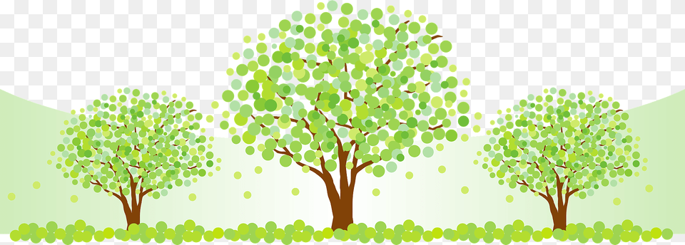 Three Trees Clipart, Vegetation, Tree, Oak, Sycamore Free Png Download
