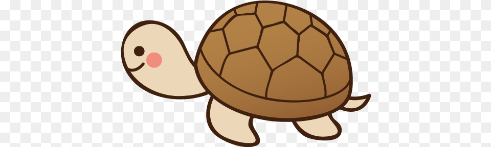 Three Widsom, Animal, Reptile, Sea Life, Tortoise Png Image