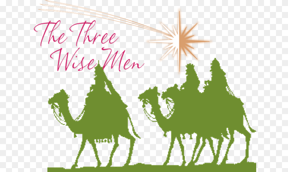 Three Wise Men Funny, Person, Animal Free Png