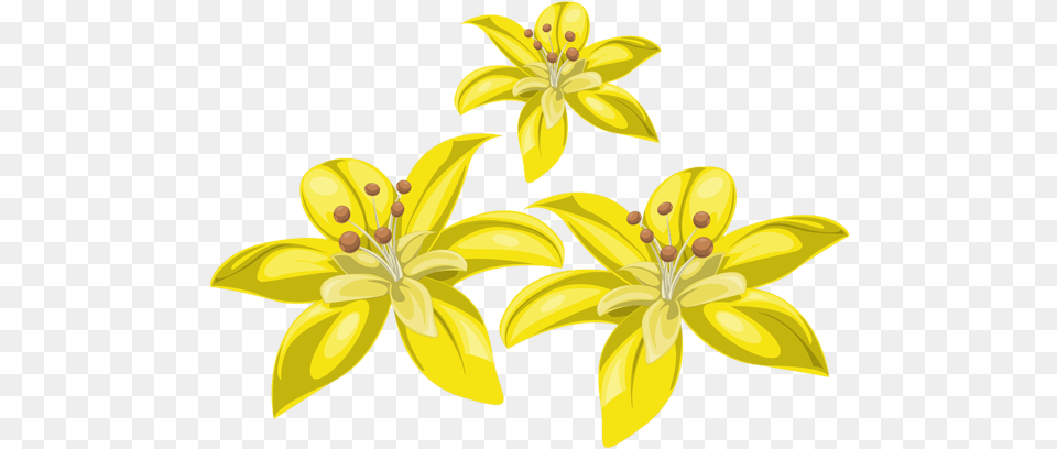 Three Yellow Flowers Yellow Flowers Graphic, Anther, Flower, Plant, Daffodil Png Image
