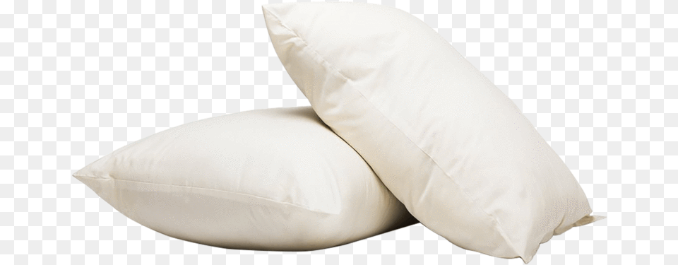 Throw Pillow, Cushion, Home Decor, Animal, Fish Png Image