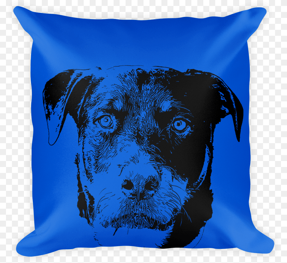 Throw Pillow, Cushion, Home Decor, Adult, Male Png