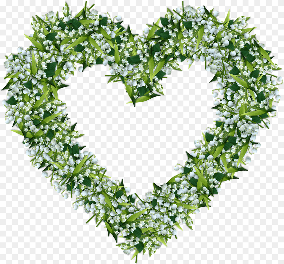 Thrush Lilly Of The Valley Lily Of The Valley Heart, Plant, Leaf, Green, Flower Png