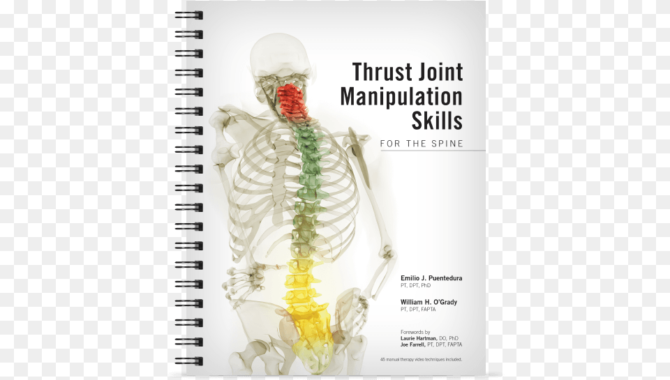 Thrust Joint Manipulation Skills For The Spine Thrust Joint Manipulation Free Png