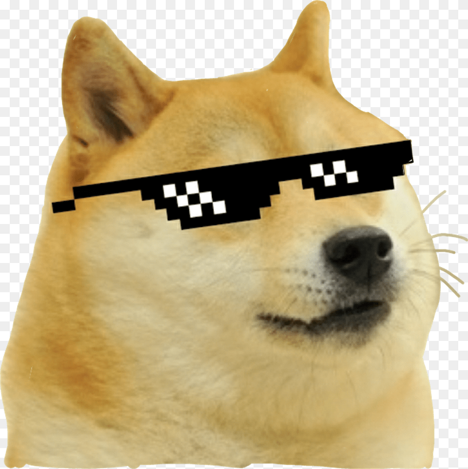 Thug Life Dog, Snout, Animal, Canine, Husky Free Png Download