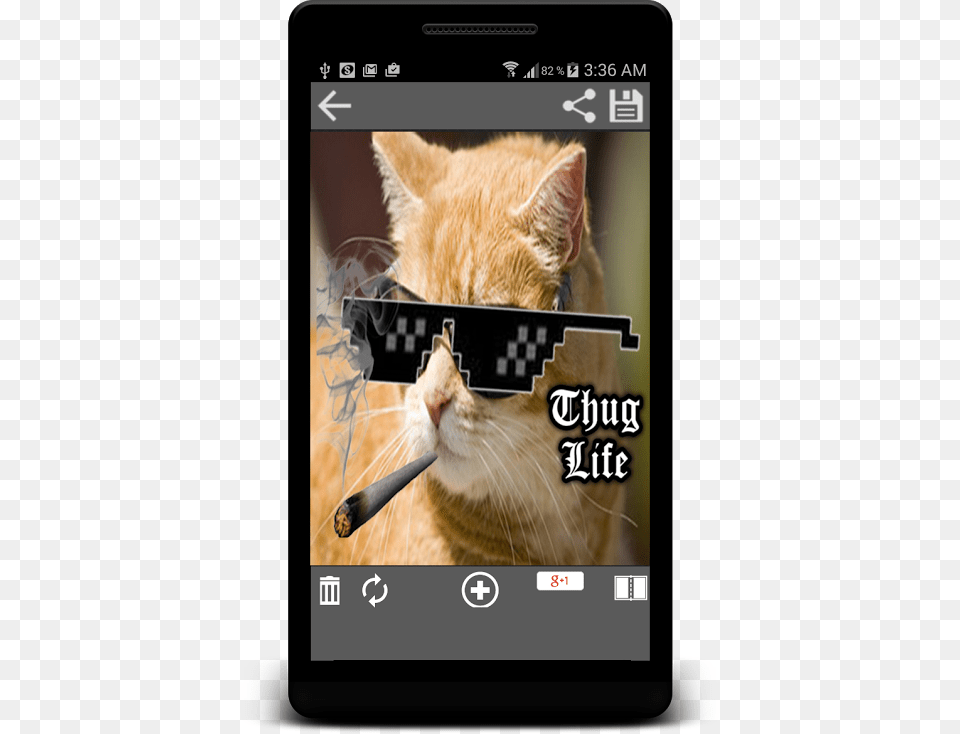 Thug Life Photo Maker Editor 1 Thug Life, Animal, Cat, Mammal, Pet Png