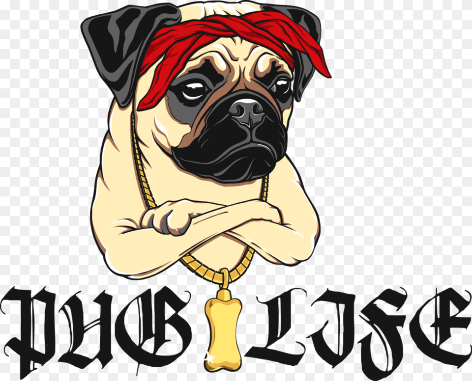 Thug Life Pug Images Arts, Animal, Canine, Dog, Pet Free Transparent Png