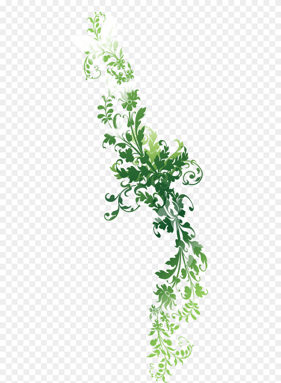 Thumb, Graphics, Green, Plant, Pattern Free Png