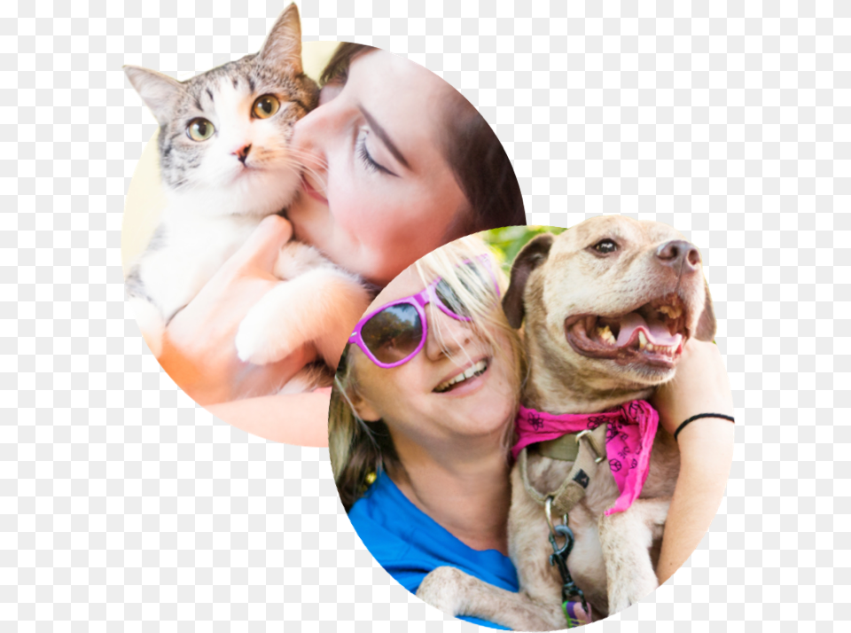 Thumb Cat Grabs Treat, Accessories, Portrait, Photography, Person Png