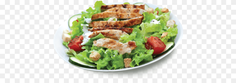 Thumb Chicken Salad, Food, Lunch, Meal, Food Presentation Png