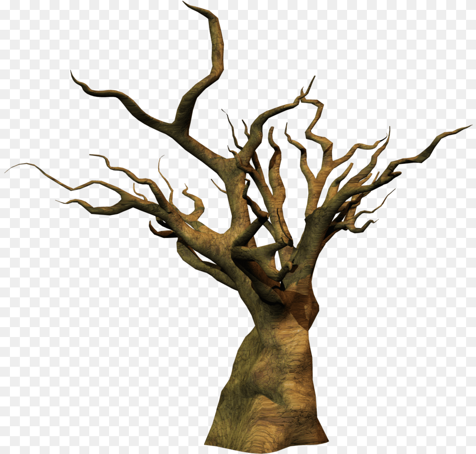 Thumb Clipart Oak Tree Trunk, Plant, Tree Trunk, Wood Png Image