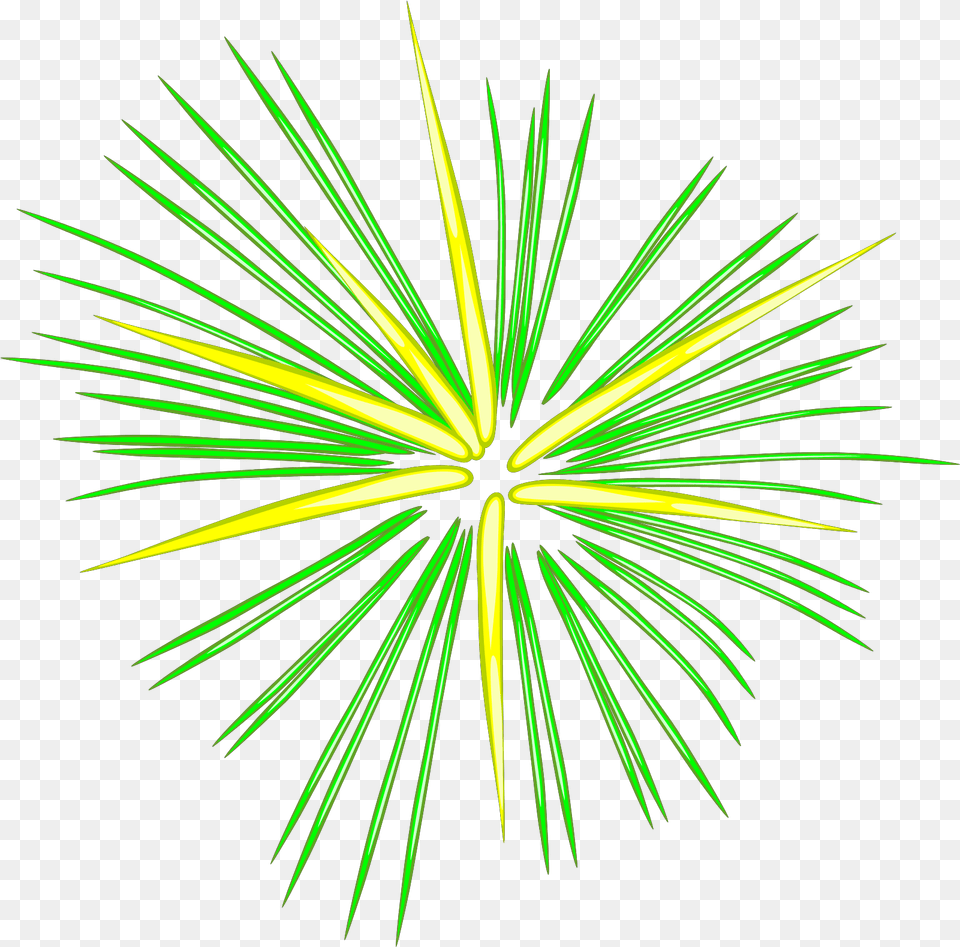 Thumb Firework Clipart No Background, Fireworks, Plant, Light Free Png