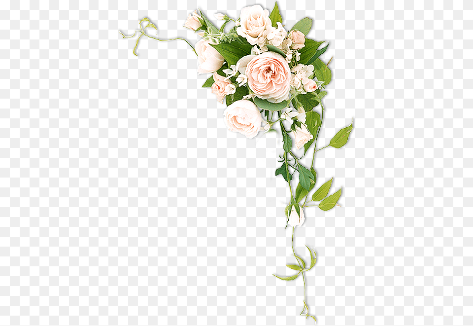 Thumb Flower For Photoshop, Rose, Plant, Flower Arrangement, Flower Bouquet Free Png Download