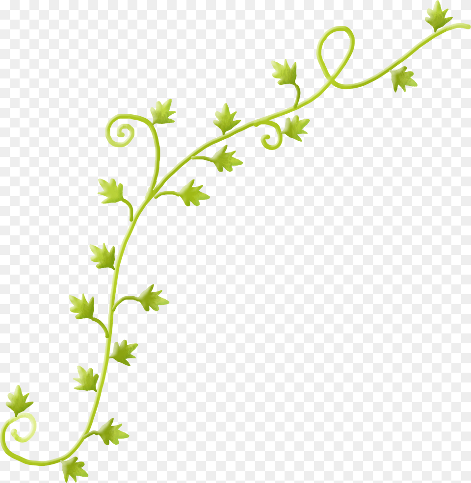 Thumb Flower Vine Clipart, Art, Floral Design, Graphics, Pattern Png Image