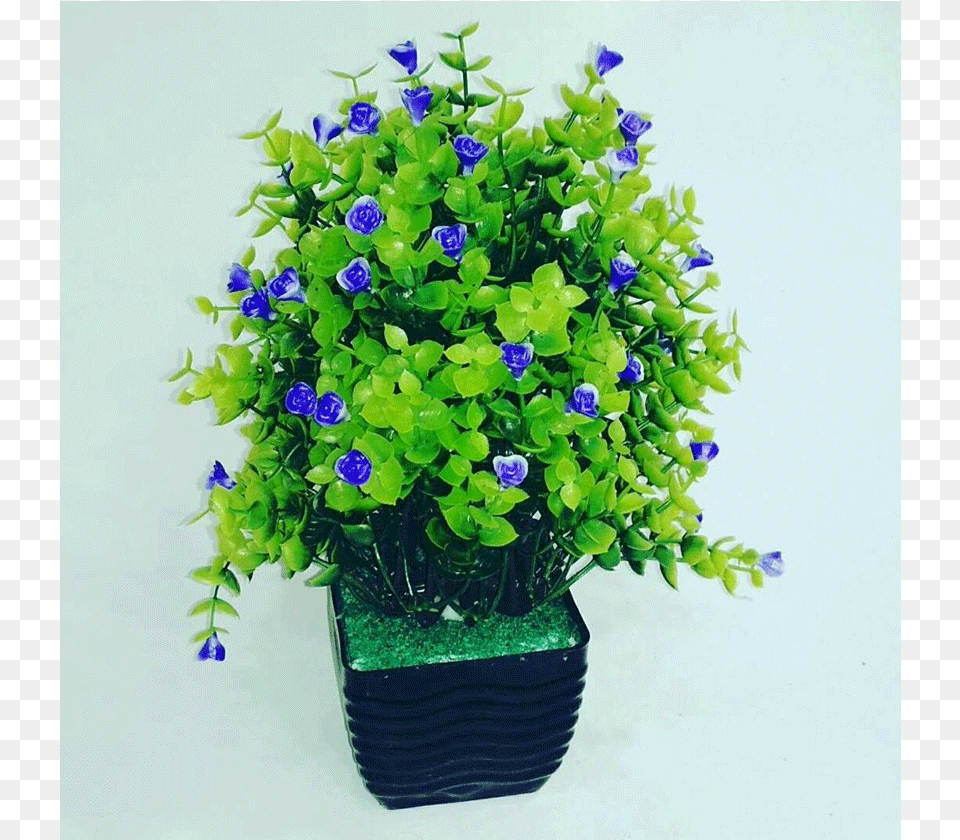 Thumb Flowerpot, Flower, Flower Arrangement, Geranium, Plant Free Png