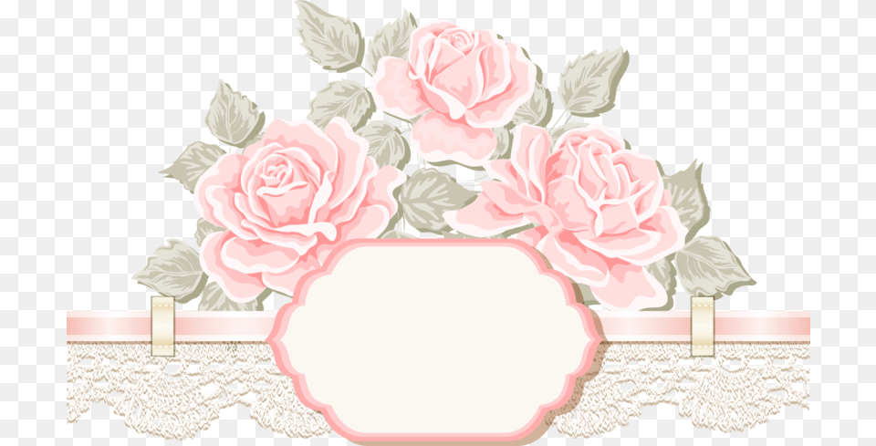 Thumb Garden Roses, Flower, Plant, Rose, Accessories Free Transparent Png