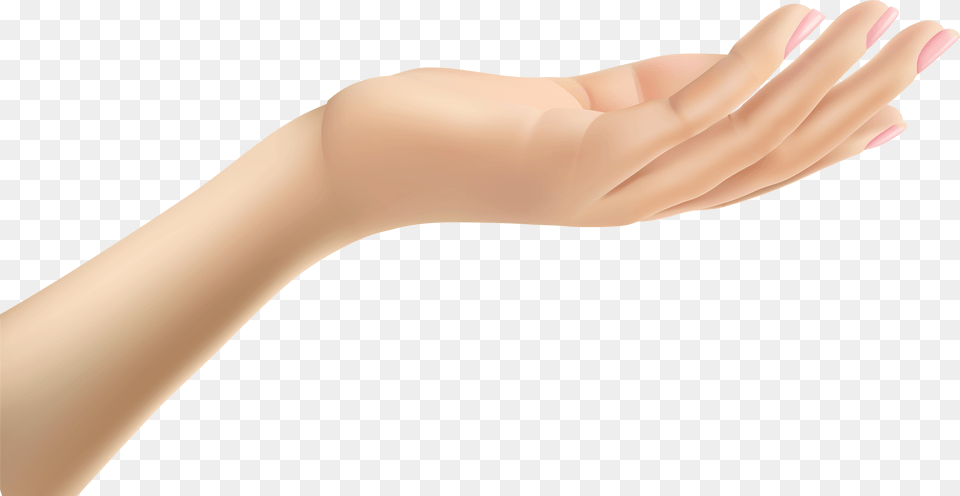 Thumb Hand Arm Clip Art Clip Art Hands Transparent, Body Part, Person, Wrist, Adult Free Png Download