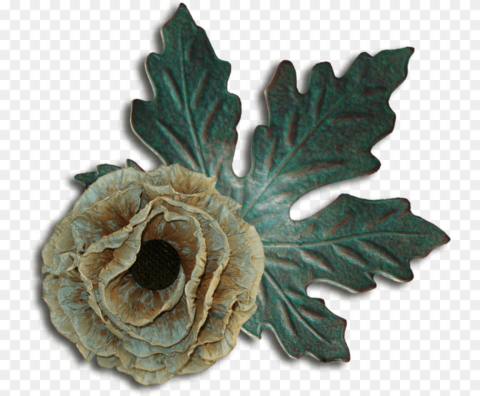 Thumb Leaf, Plant, Flower, Tree Png Image